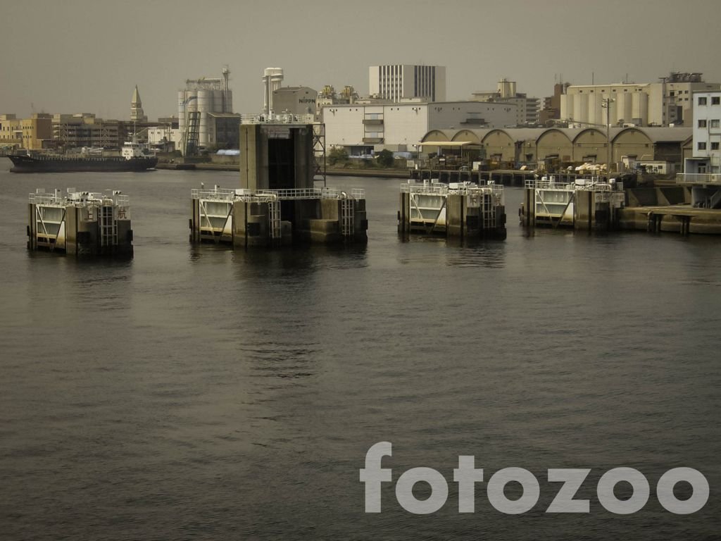 A nemszép Japán Forrás: Fotozoo - Horváth Zoltán