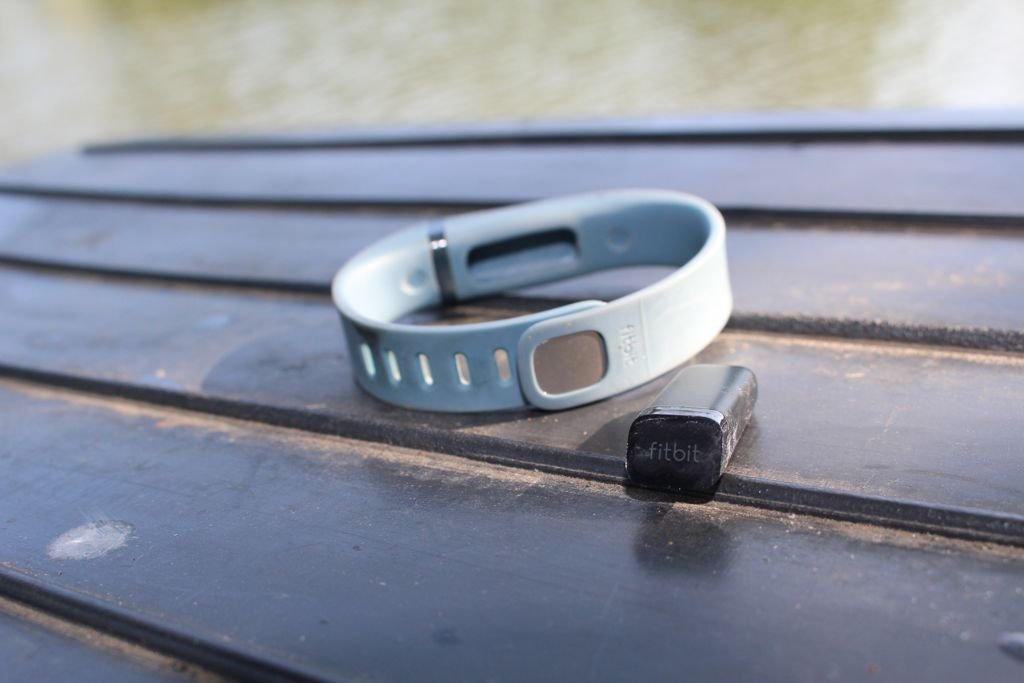 Fitbit Flex