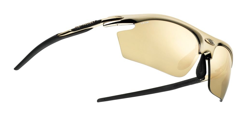 rydon_gold_big_RGB_2000pix.jpg