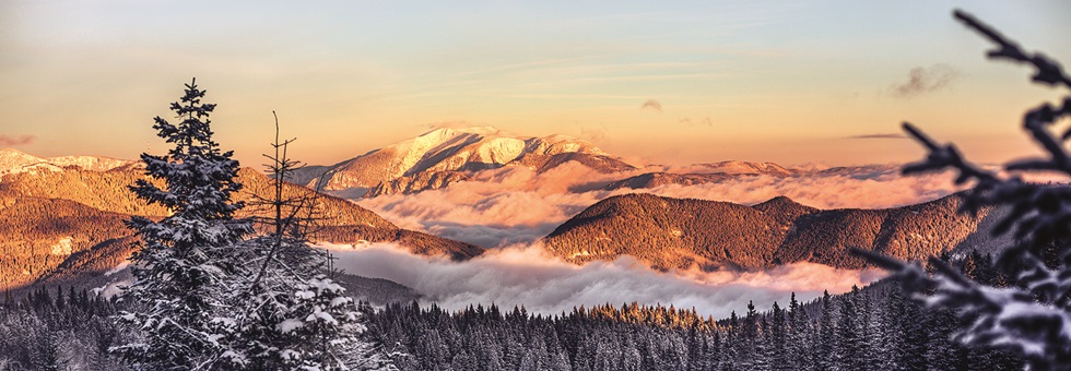 Alsó-Ausztriában semmit sem bíznak a véletlenre Hír