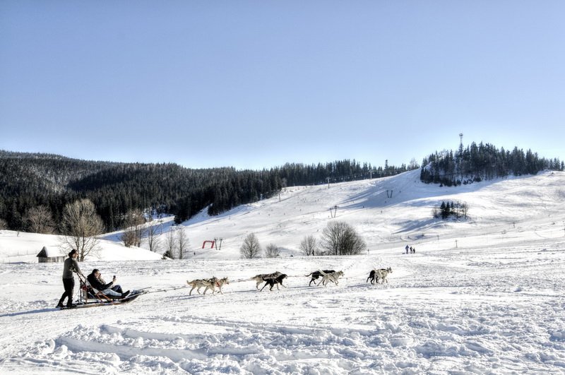 Kutyaszán Donovaly Forrás: parksnow.sk