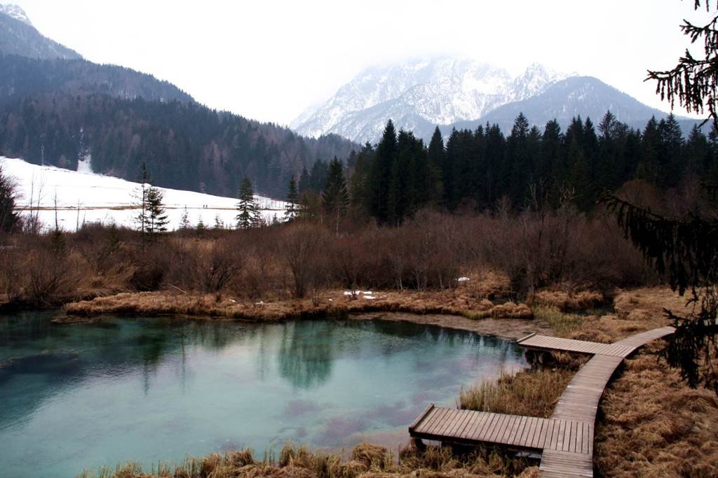 Zelenci tó, a Sava Dolinka folyó forrása