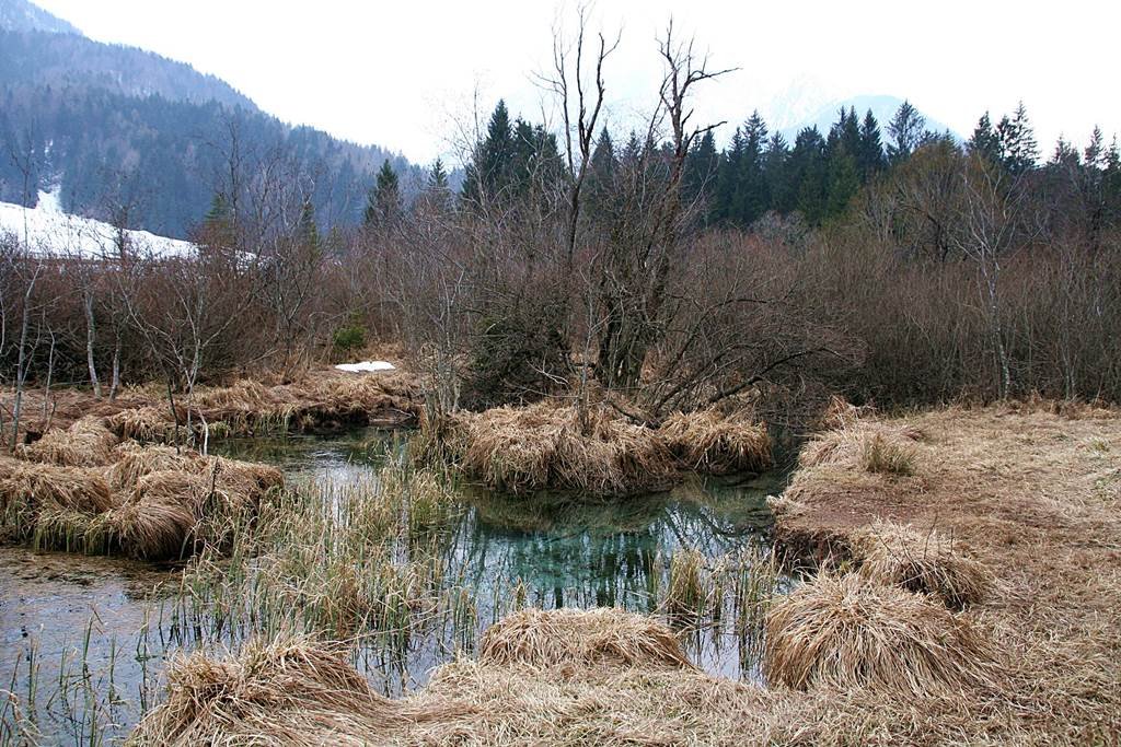 A Sava Dolinka folyó forrása