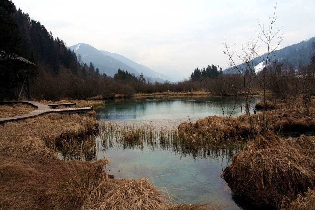 Zelenci tó, a Sava Dolinka folyó forrása