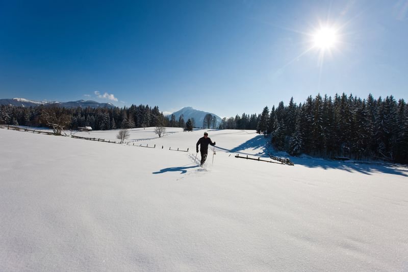 Sífutás Ramsauban Forrás: Steiermark Tourismus (c) ikarus