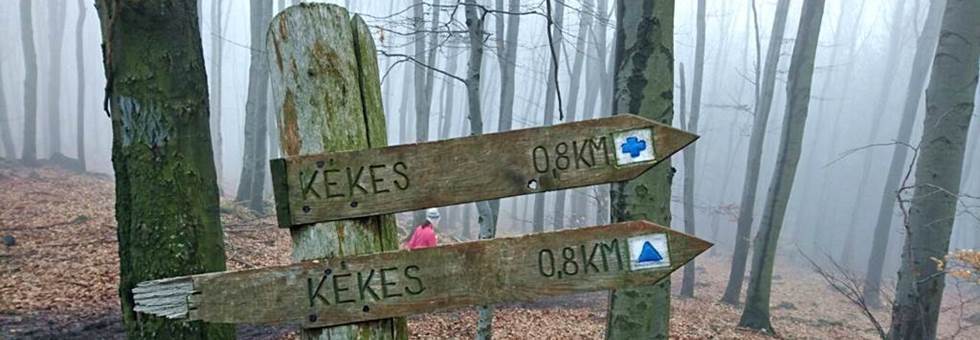 Téli Mátra teljesítve - avagy vaddisznó tanoncok előnyben!