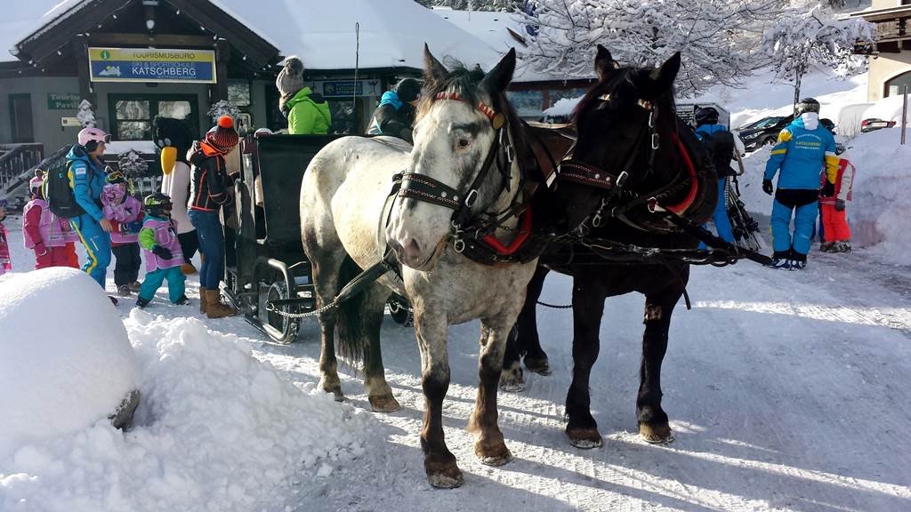 A gyerekek lovasszánnal indulnak a sípályára.