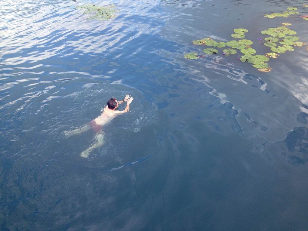Fürdőzés a Hévízi-tóban