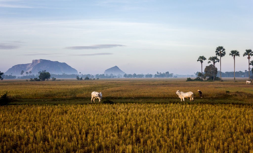 Tájkép Kambodzsában