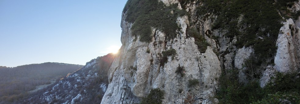 Camp Tricam és ballnut Hír