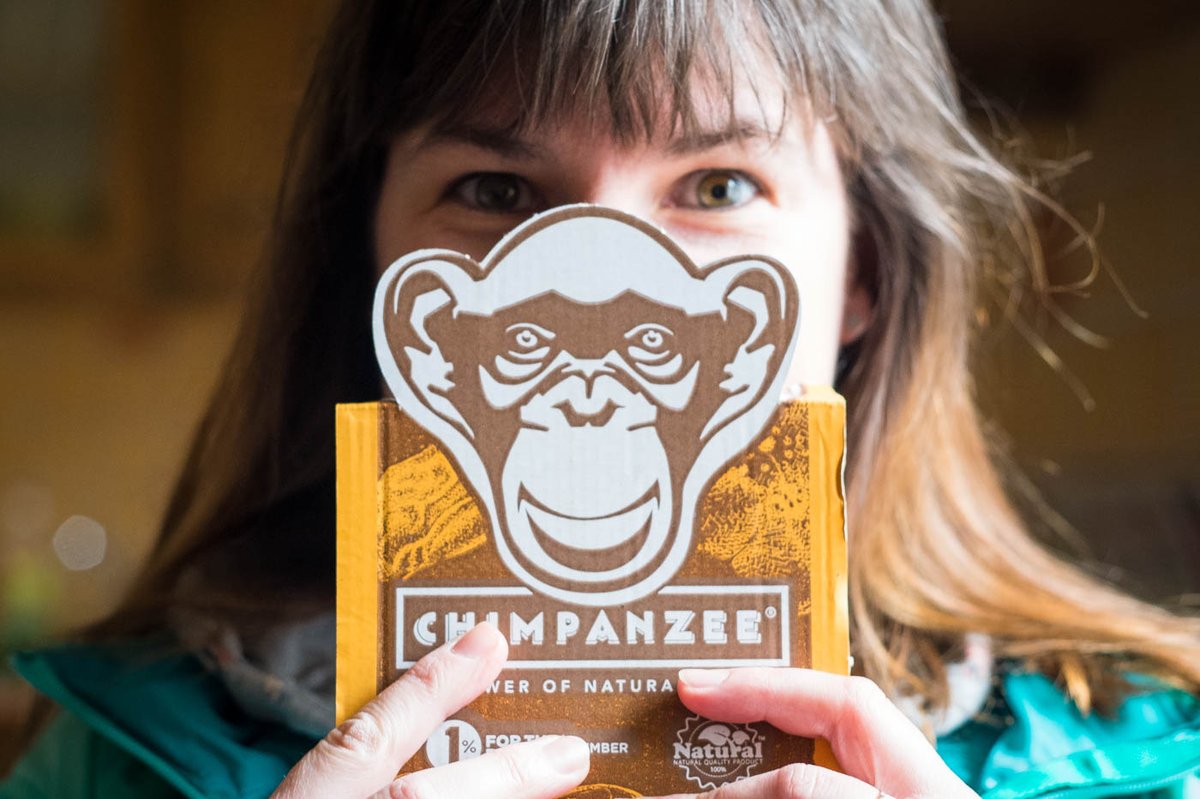 Chimpanzee