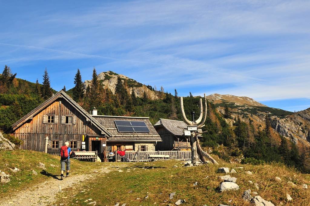 Alpesi hütte Forrás: (c) Steininger