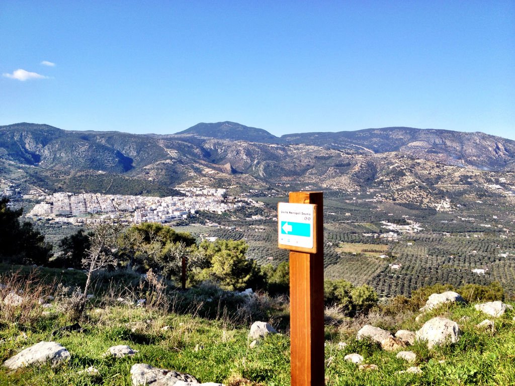 Terepfutó-paradicsom a narancsfák alatt