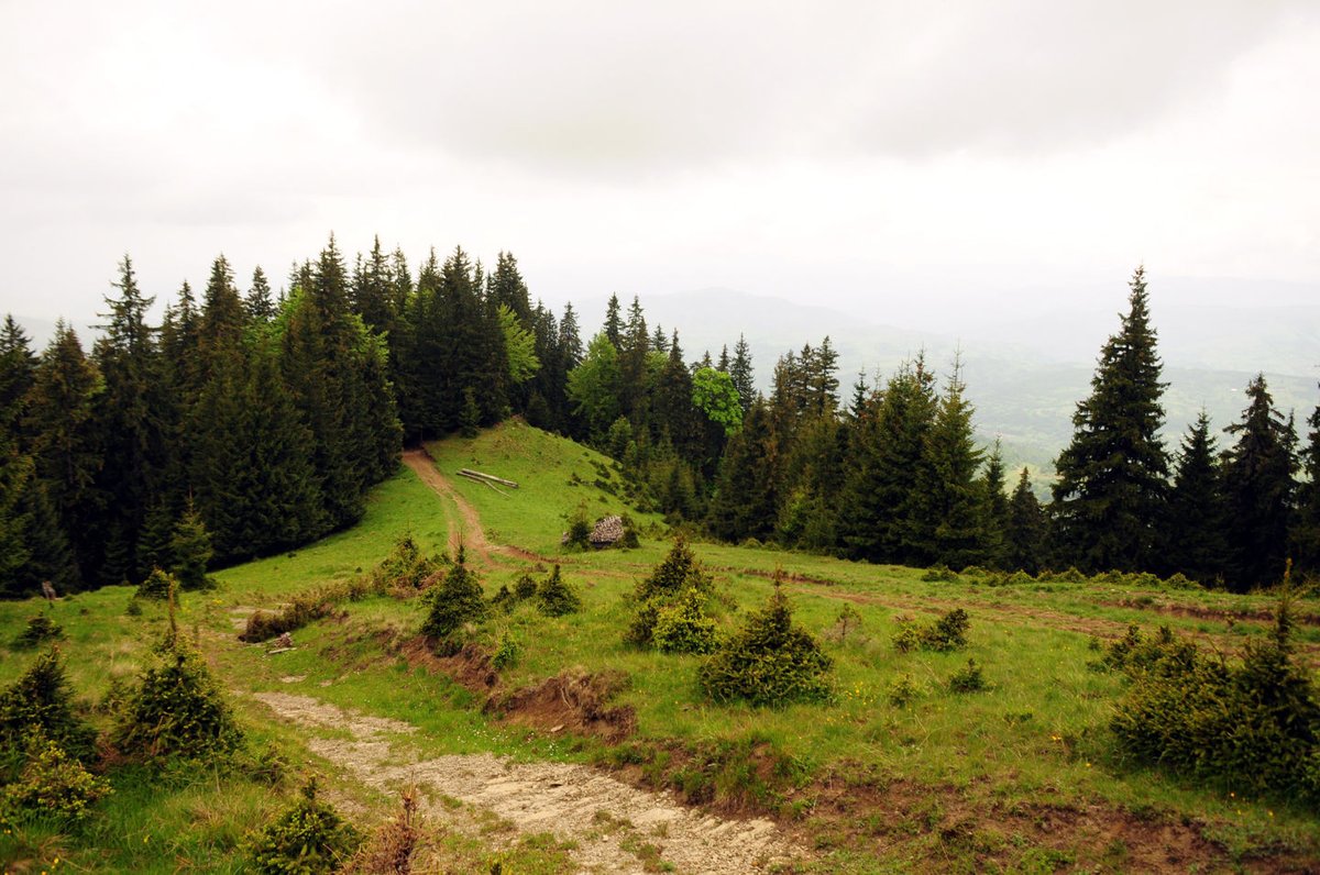 Gyülekeznek a fellegek