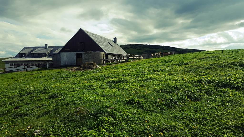 A Lurgbauerhütte