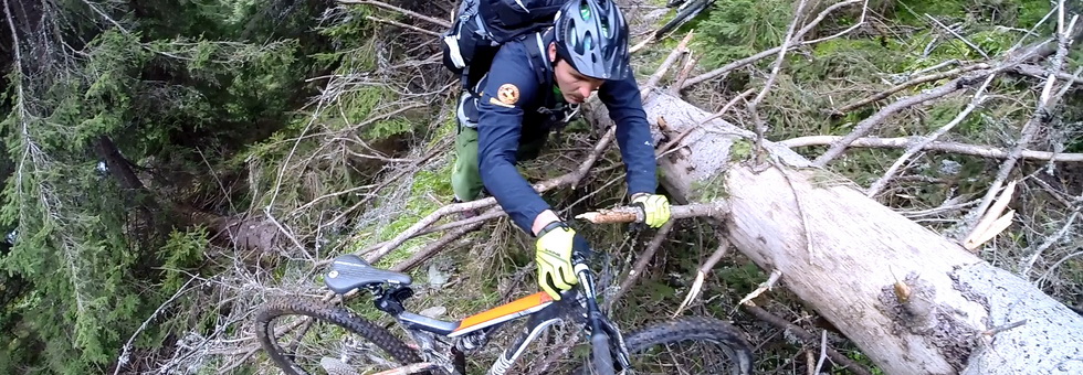 Bringás kaland a Kárpátok peremén