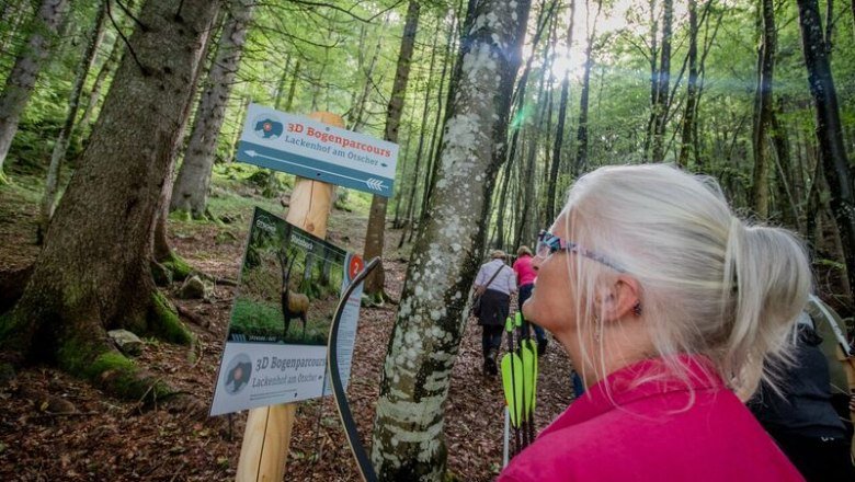 Jól kitáblázott íjászösvény az erdőben