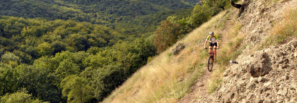 Félmillás zsákbamacska?