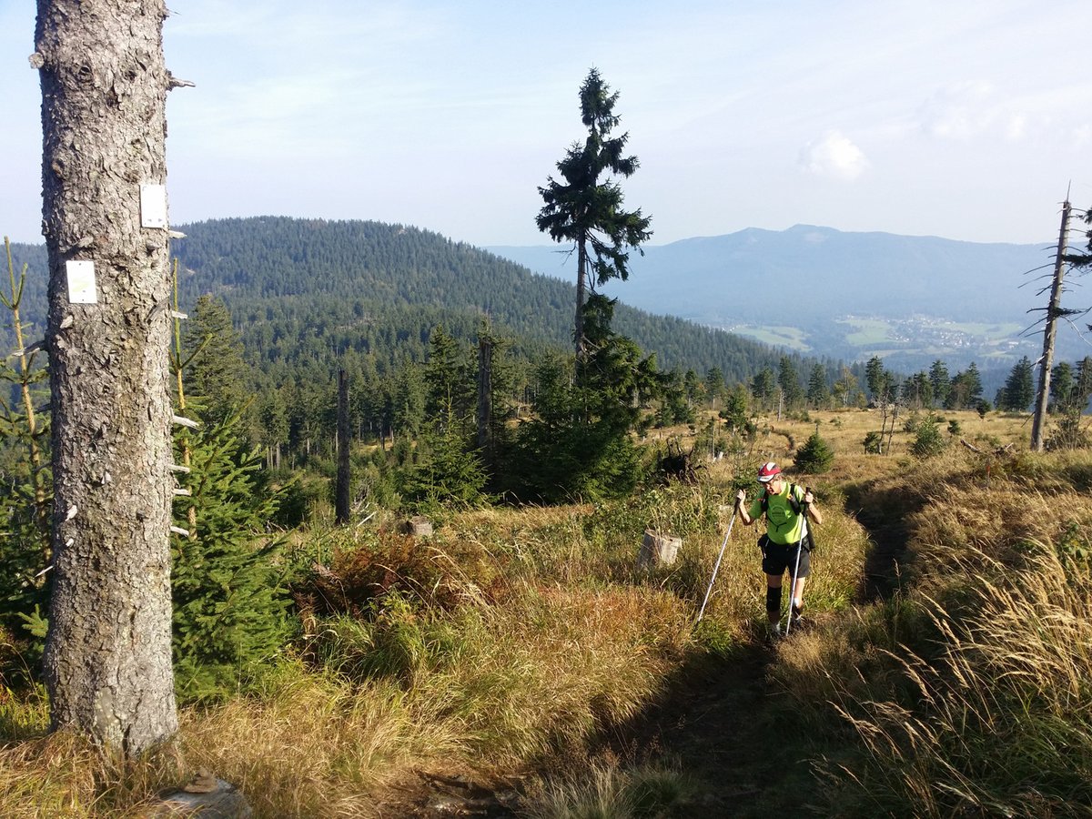 Goldsteig-Ultrarace-2016-1-.jpg