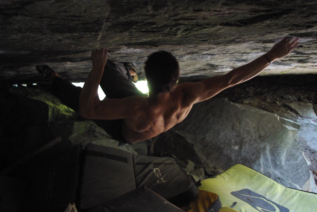 Magic Wood (Svájc) In search of time lost 8C