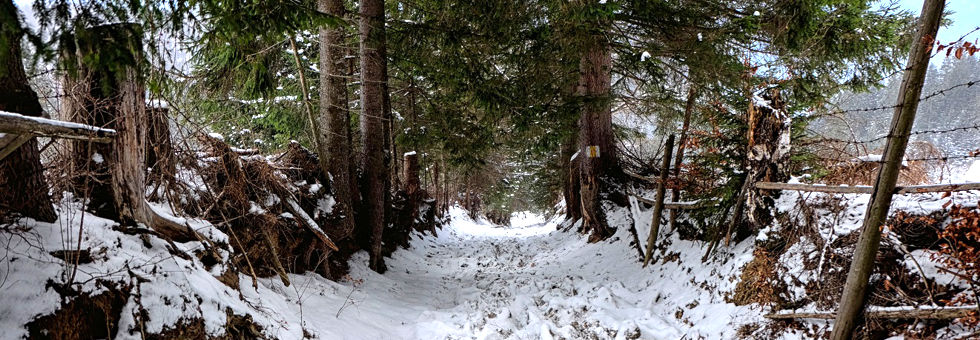 Túrázás a téli Erdélyben Hír