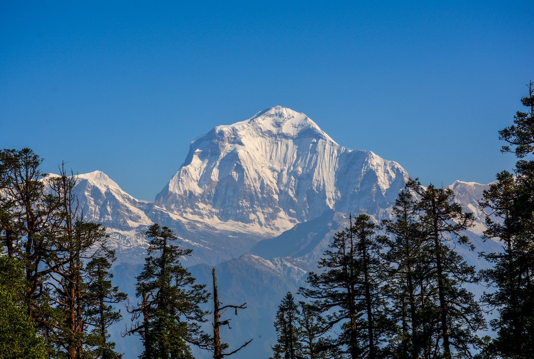 Dhaulagiri Forrás: Wikipédia