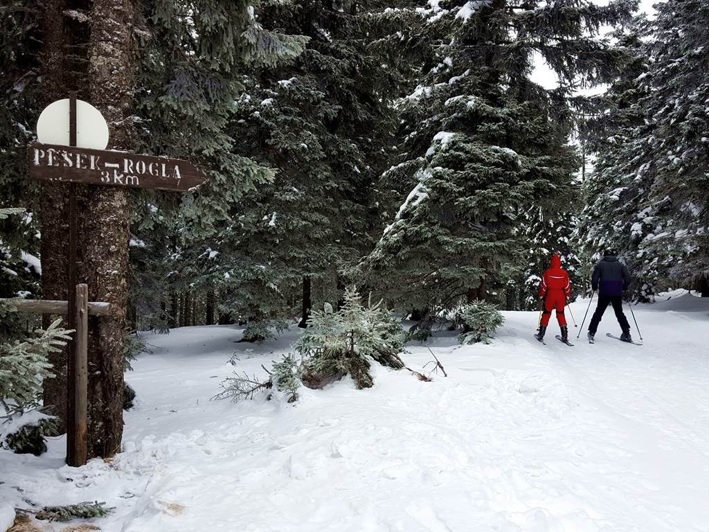 Titkos erdei ösvényen irány Pesek, a legszuperebb hütte Roglán!