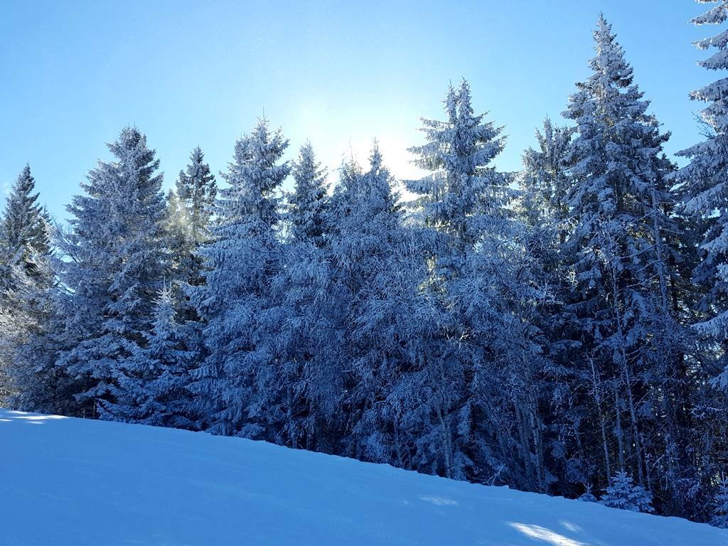 Cerkno