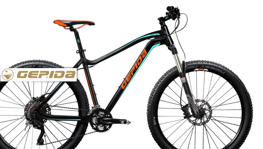 Gepida Asgard 650B