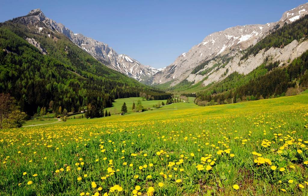 Seewiesen Hochschwab