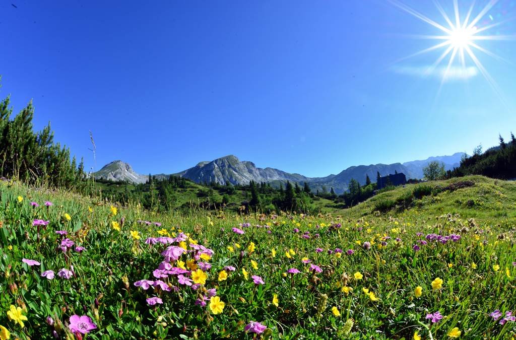 Csodás virágzó mezők és hegycsúcsok - ez a Hochschwab
