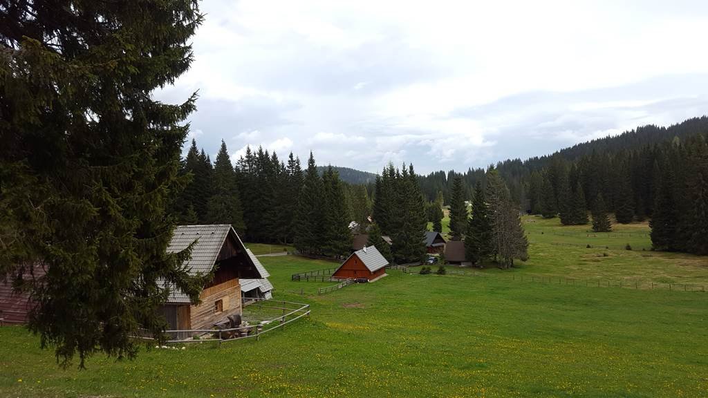 Pokljuka fennsík, a mountainbike verseny itt is áthalad