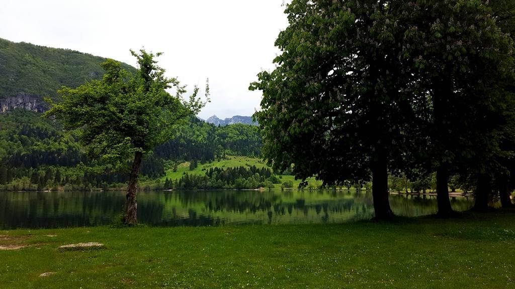 Bohinji-tó