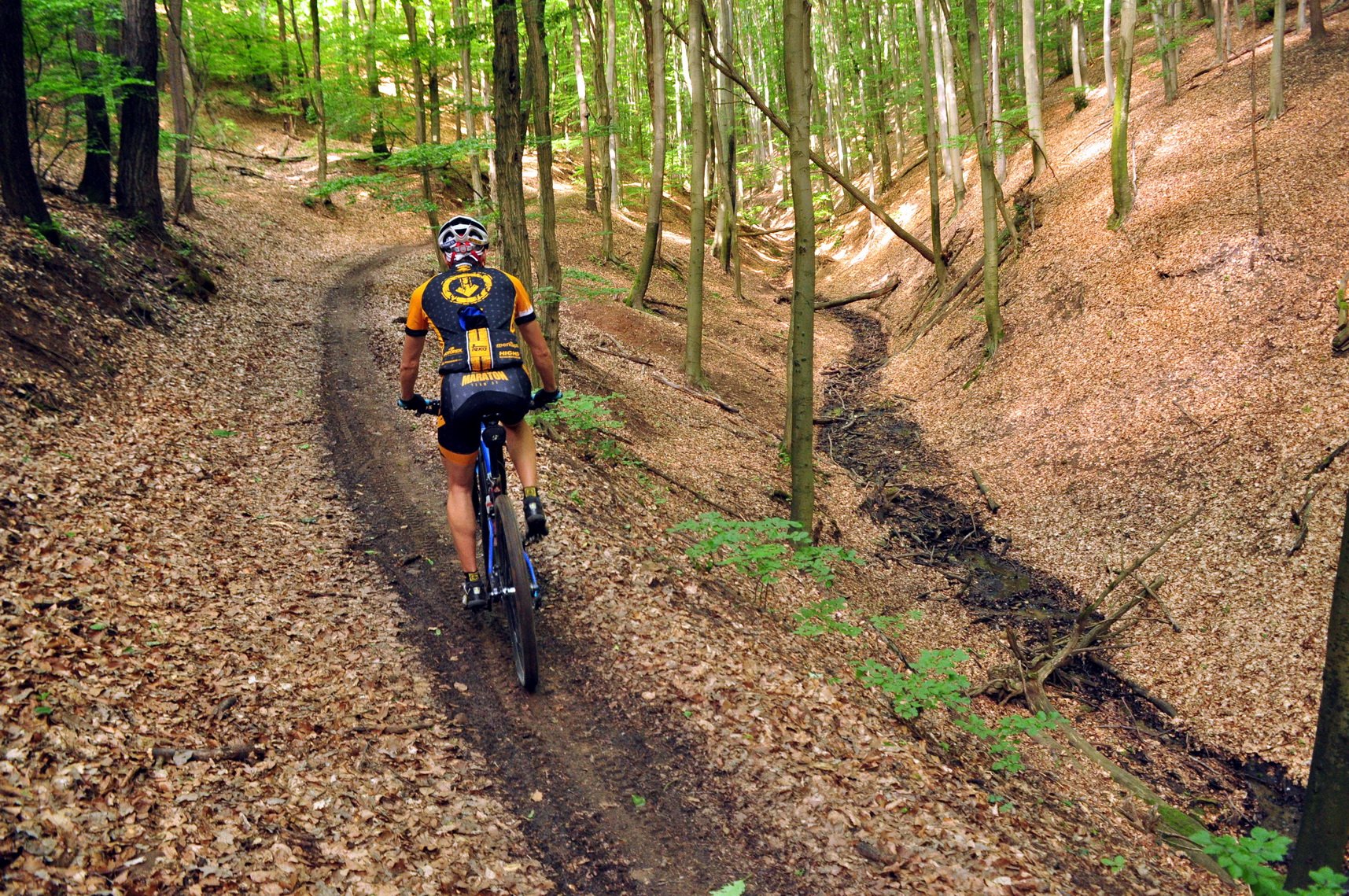 Ez a singletrail is jelzett kerékpáros ösvény