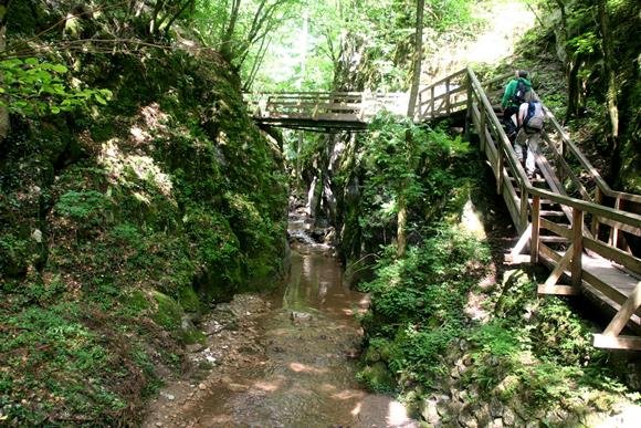 Johannesbachklamm Würflach-ban