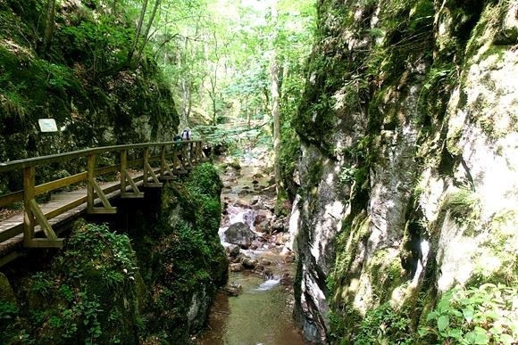 Johannesbachklamm Würflach-ban