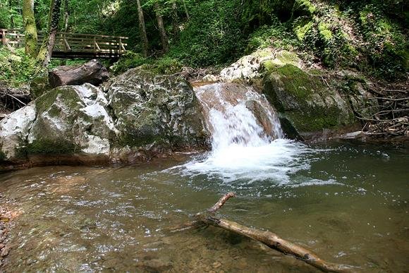 Johannesbachklamm Würflach-ban