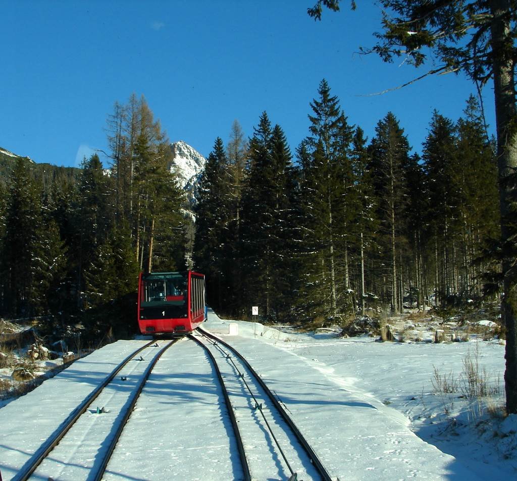 Tarajka sikló