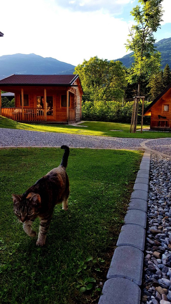 A Radlerstation Sandhof kerékpáros pihenő mini glamping faházai