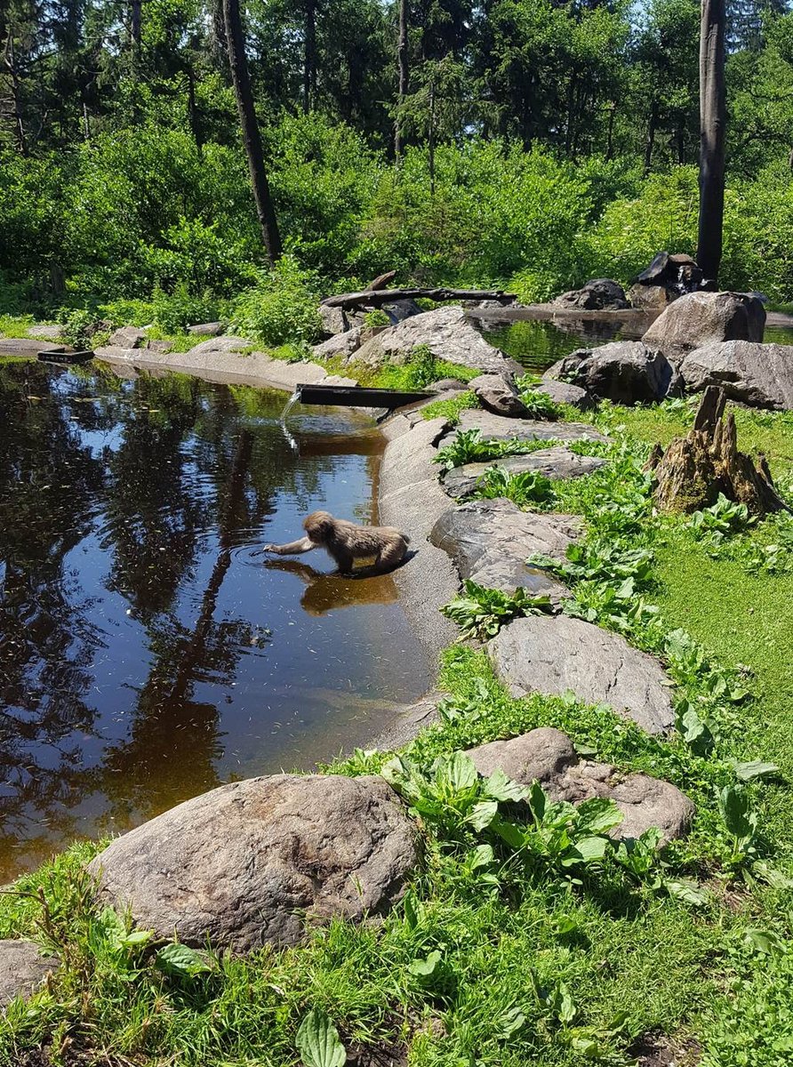 Majompark Landskronban