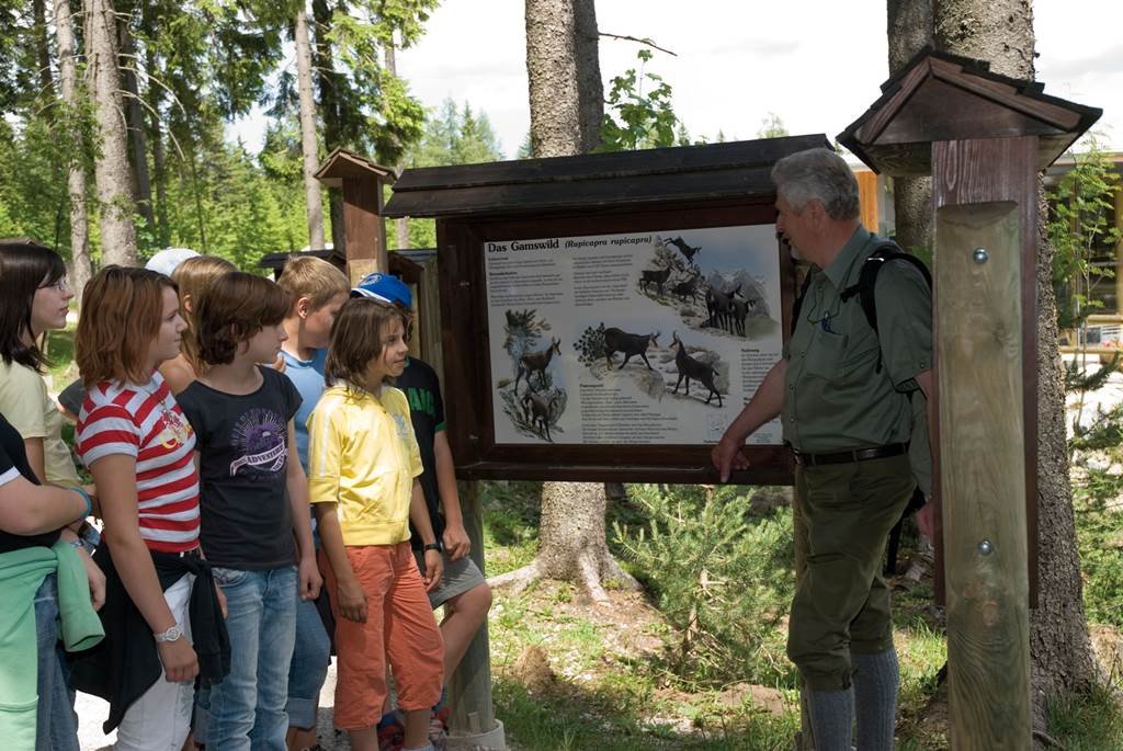 A favágók világát bemutató interaktív kiállítás