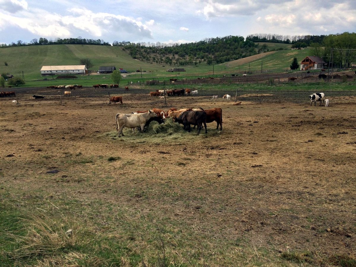 Első nap - völgy mélyében elbújt farm