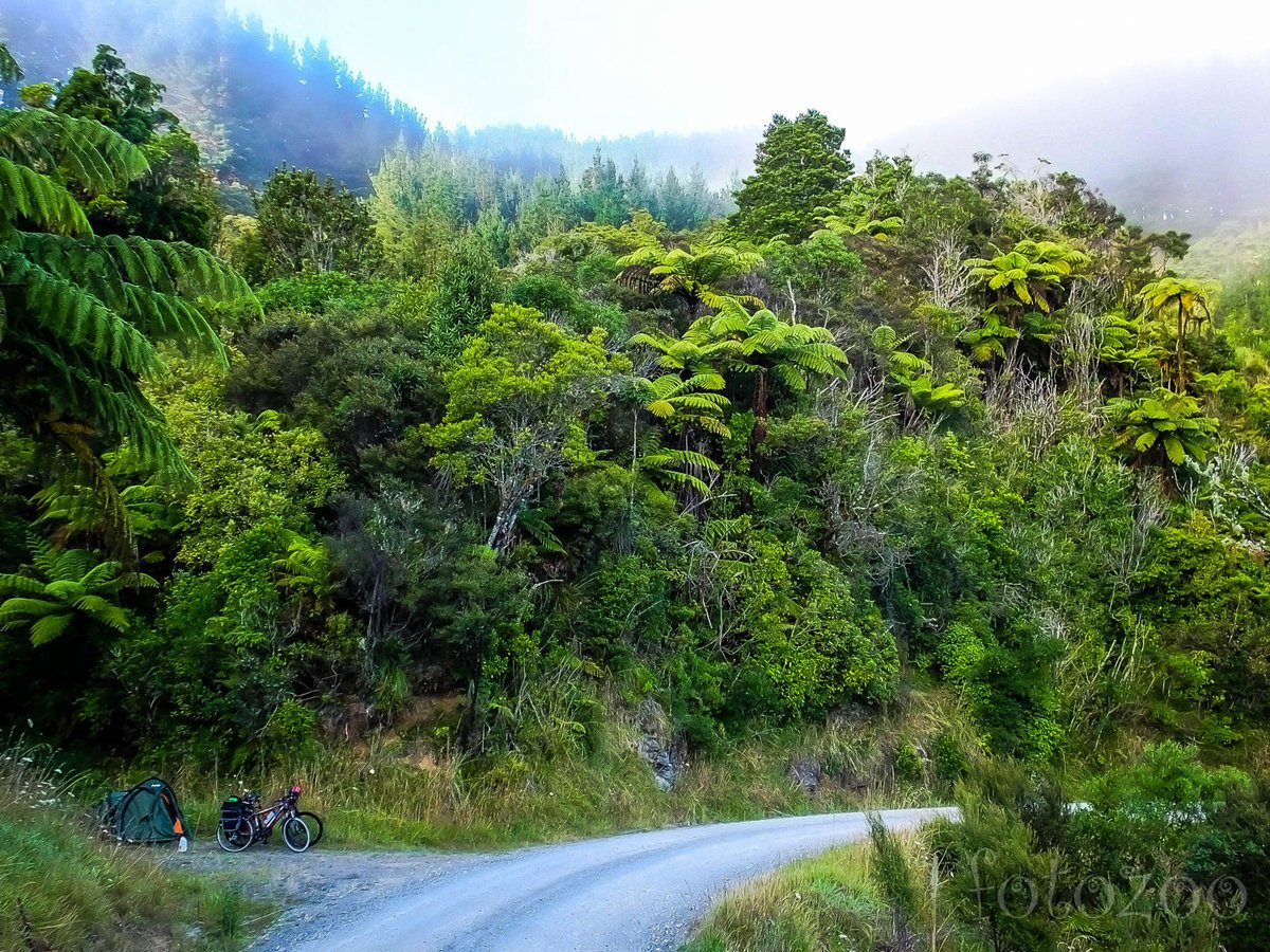 Ezt a helyet ajánlotta a szigorú külsejű maori. Szerintem ötcsillagos, de a Trivagon hiába keresnétek… Forrás: Fotozoo - Horváth Zoltán