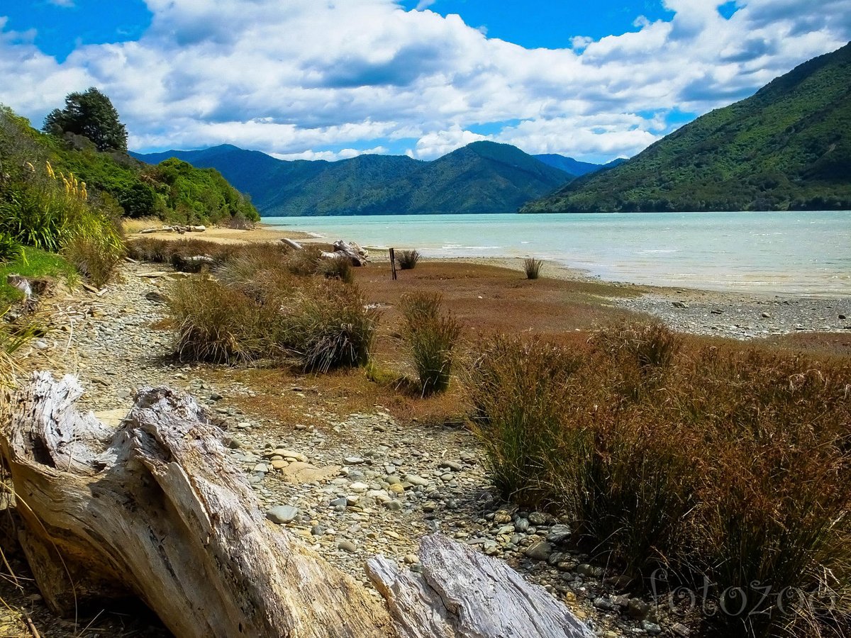 Még mindig a Queen Charlotte Drive. Nem tudunk betelni a látvánnyal. Forrás: Horváth Zoltán - Fotozoo