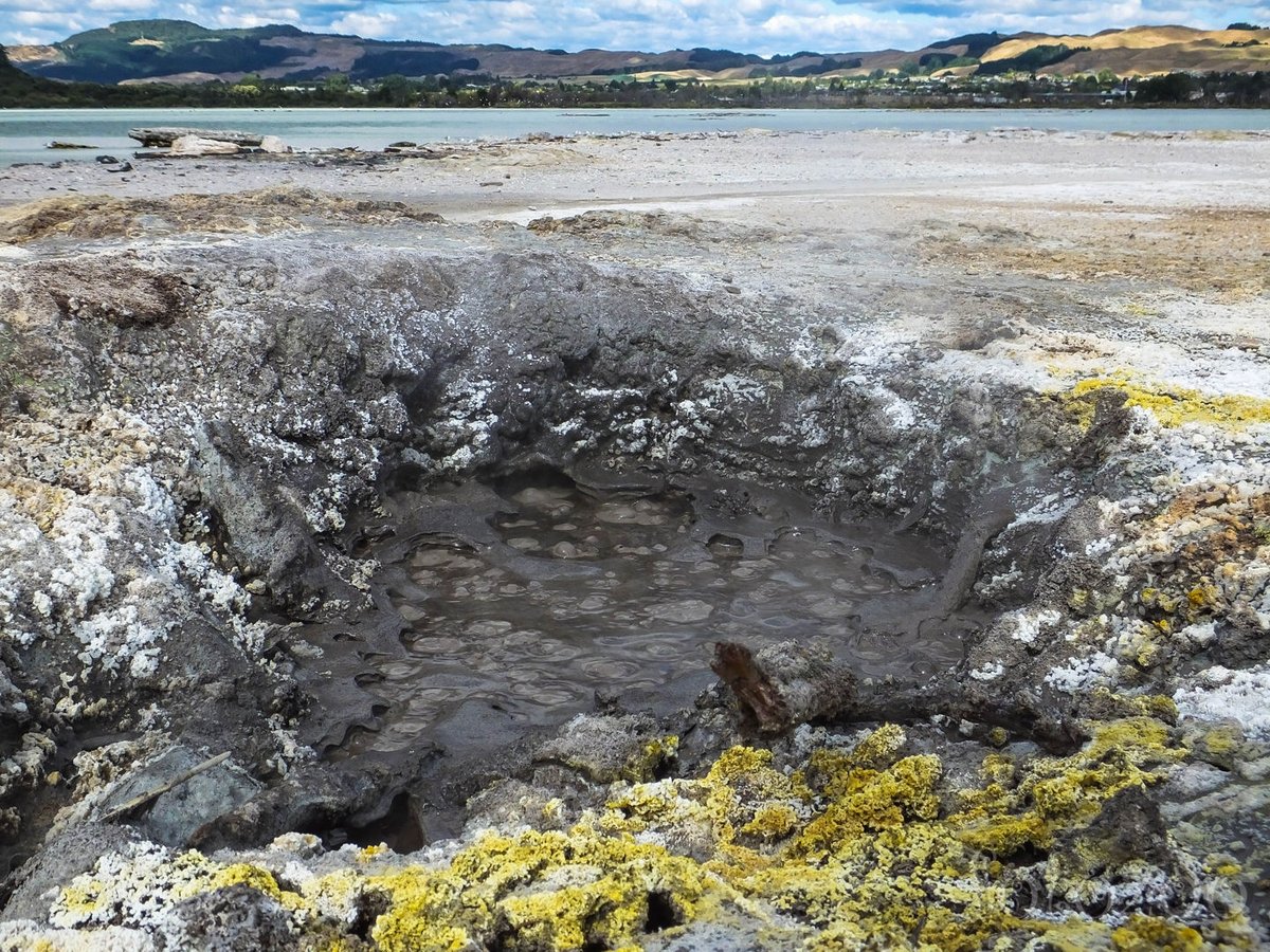 És mégis bugyog a Föld…Rotorua olyan, mintha egy forrásban lévő bográcsra építették volna az egész várost. 