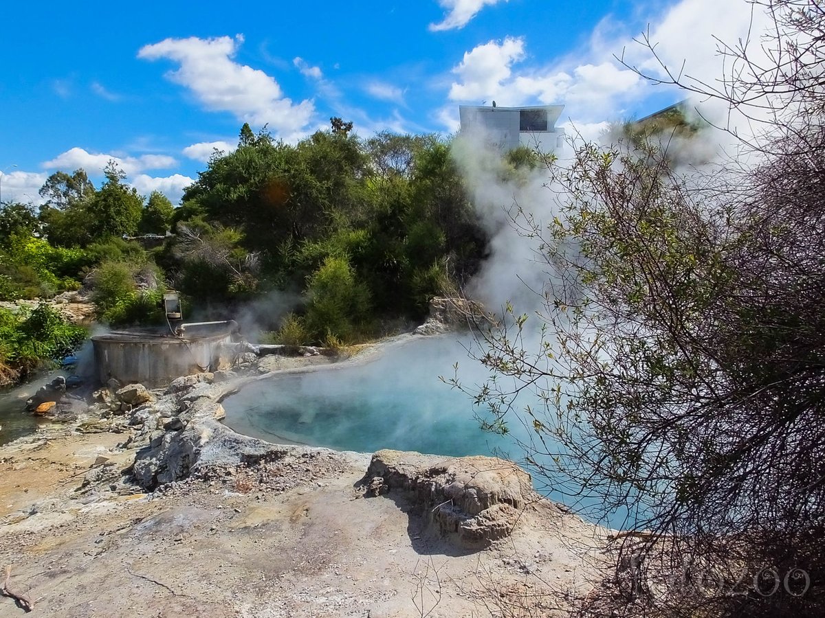 Forr, és forr, és nem fogy ki az elem…Rotorua nevezetességeihez sajnos hozzátartozik a fingszagú levegő is... Forrás: Horváth Zoltán - Fotozoo