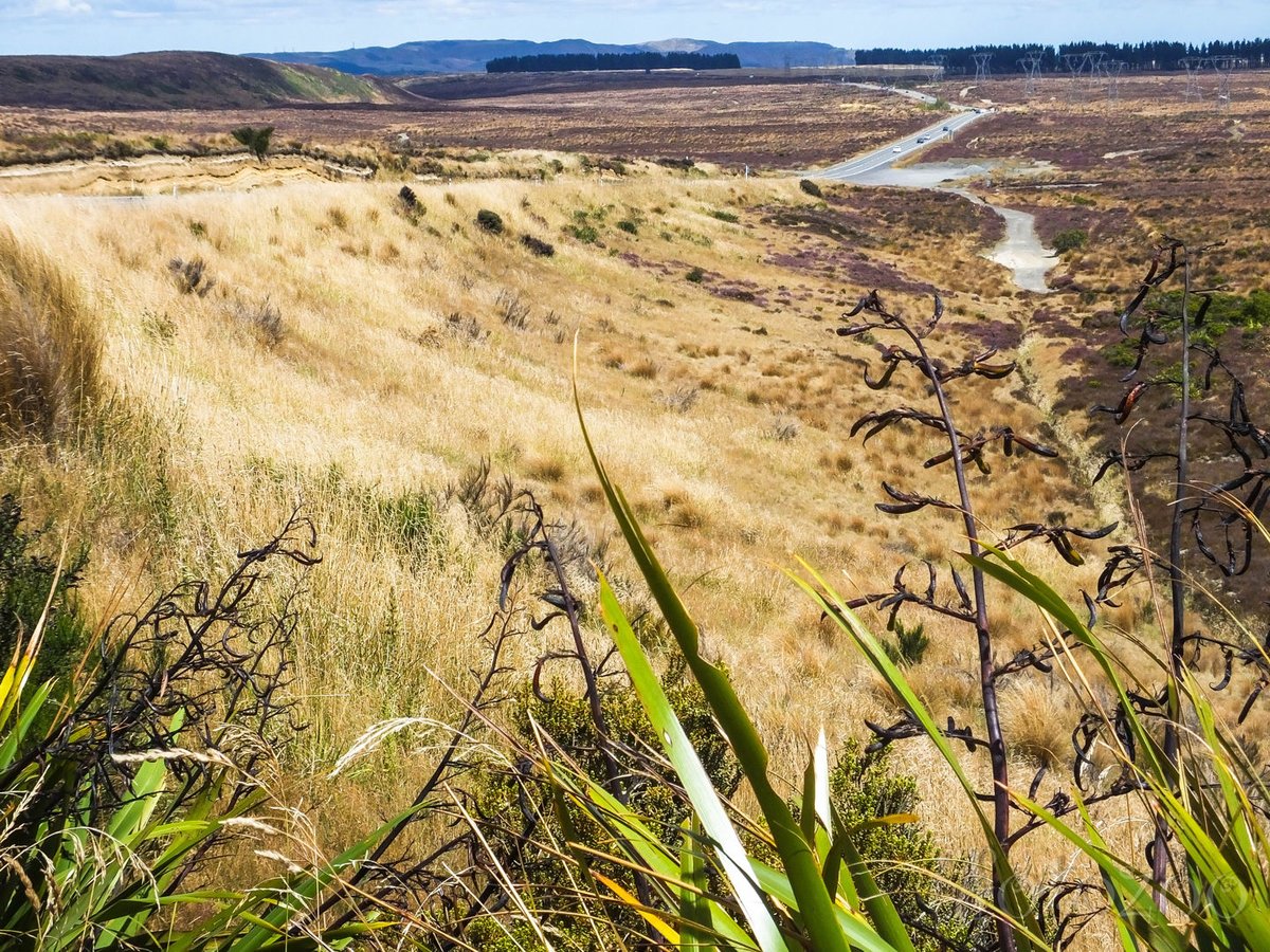 Desert Road. Sivatagos fennsíkon visz az út, de a messzeségben ott húzódnak a hegyek. Forrás: Horváth Zoltán - Fotozoo