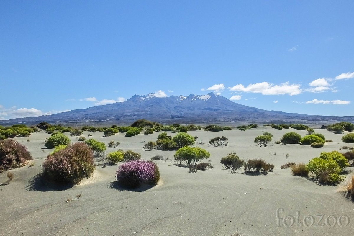 Előttünk a Rangipo sivatag, háttérben pedig a hófödte Ruapehu.