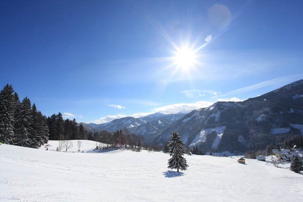 Wald am Schoberpass