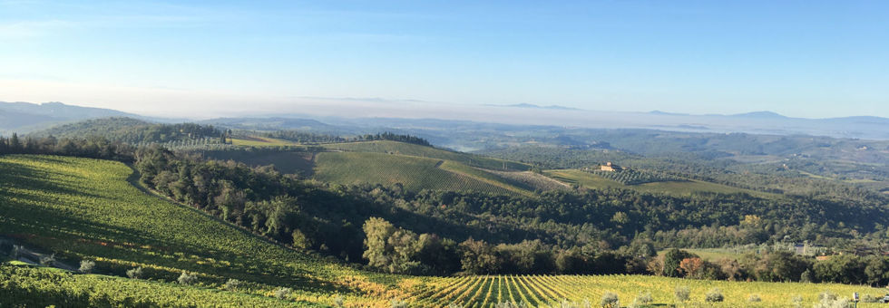 Chianti terepmaraton - nem csak ittam, futottam is! Hír